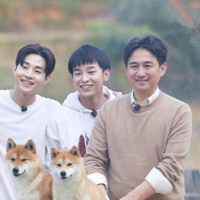 《空之轨迹1st》探秘蘑菇奇遇，攻略新视角解锁！