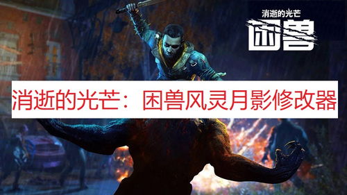 《消逝光芒困兽》闪退修复攻略，告别卡顿，畅玩无忧新体验