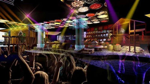 《揭秘伪人日夜生活：白天探索，黑夜揭秘新体验》