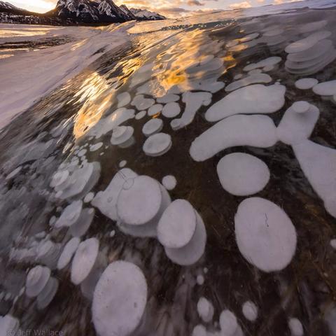 气泡星球兑换码速递，解锁新价值秘籍揭晓