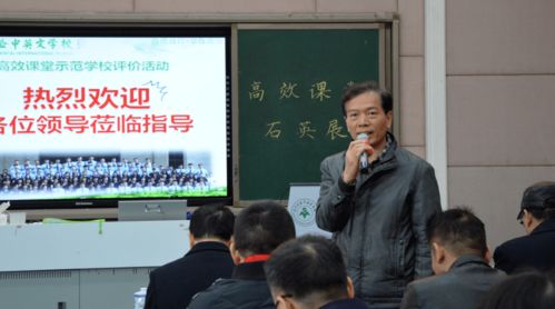 《高庭连战攻略揭秘：丝之歌高效打法解析》