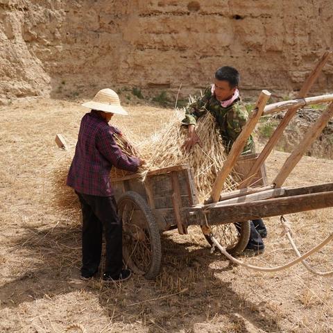 《丝之歌曲镰获取攻略：探寻神秘镰刀的秘密宝藏》