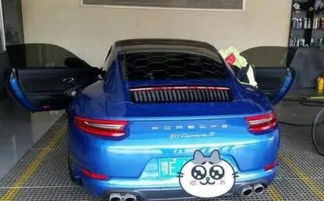 汽车易爆品牌颜色大揭秘：鸟粪炸弹研究新发现