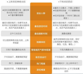 4人吃西贝9菜仅2元，揭秘“双刃剑”背后的智慧降价新策略