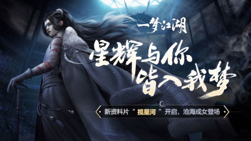 横版动作巅峰之作，揭秘十大精选游戏秘境