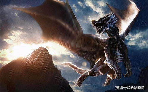 《海之剑》全可骑乘动物坐骑点位攻略大揭秘！