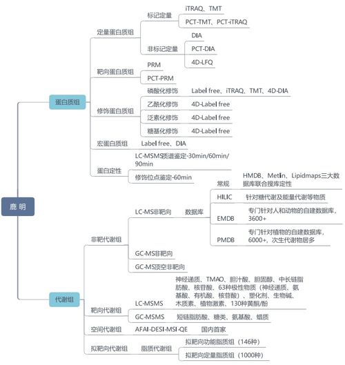 真武山寻宝秘籍：吴刚赠物攻略全解析