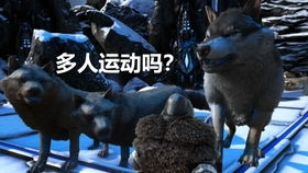 特瑞垫招升龙秘技，群狼之城实战攻略新解