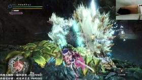 《群狼之城升龙攻略》掌握起手技巧，轻松制胜之道揭秘