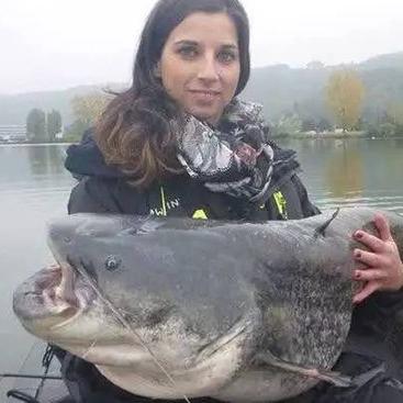 巨鲶攻略：高效应对与捕捉技巧揭秘