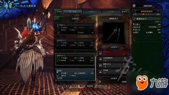 白炽霸主套护石解析：荒野太刀强化秘籍大公开