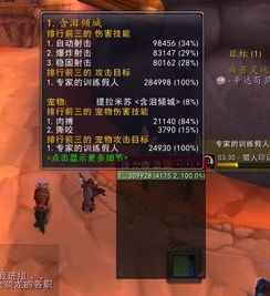 《荒野猎人护石抽选揭秘：技能组合与掉率深度解析》