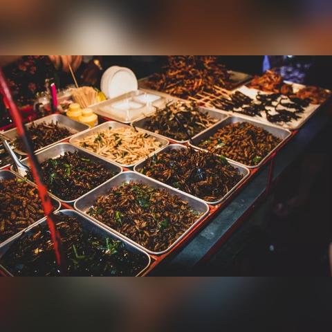 背包宝藏揭秘：菜市场模拟器必备实用攻略