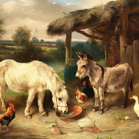 牧场养殖攻略：高效动物养殖新技巧