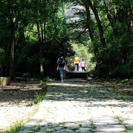 《猫猫钓游记》深度解析：NPC互动攻略与好感度提升秘籍