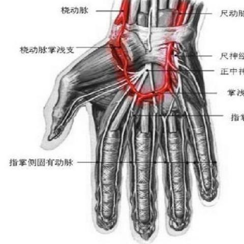 泰坦之旅2弓流攻略：穿刺平A核心构筑解析，打造全新输出盛宴
