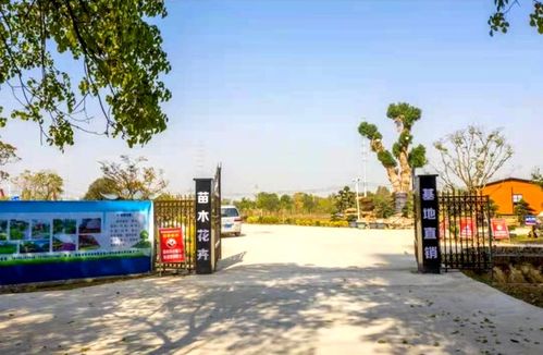 《绝区零》爱丽丝探险秘境攻略指南