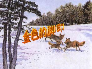 动物足迹引领新篇章，《金垦小镇》开启生态探险之旅