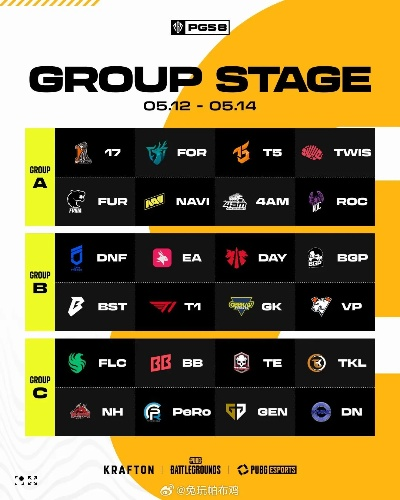 PGS10绝地求生战队新篇章，揭秘战术革新与团队荣耀