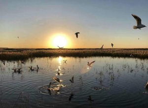 明末秘境探秘：江望渡口攻略与注意事项全解析