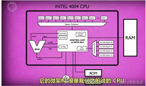 矩阵模块技能速成攻略：高效搭配秘籍解锁
