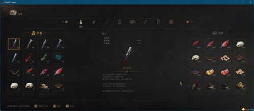 《明末渊虚之羽》沈静安攻略：深度解锁神秘支线新玩法