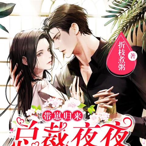 夜夫人套装属性解析，独家攻略助你轻松获取！