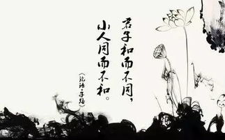 《明末渊虚之羽》二周目深度解析：传承与创新，揭秘新篇章