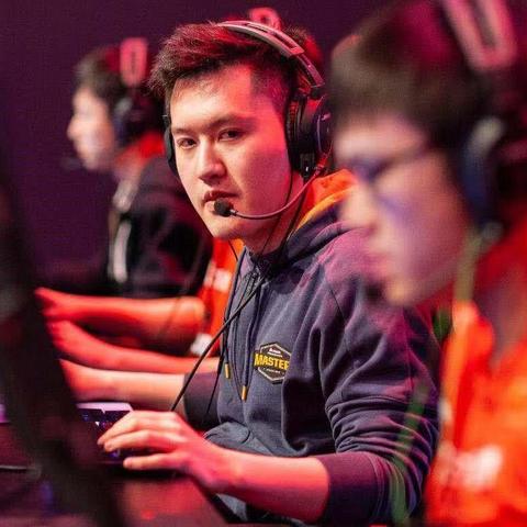 黑豹线攻略揭秘，动物迷城速通关秘籍！