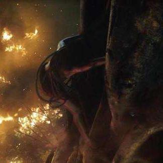 黑豹线大象猩猩技能攻略：探秘全新获取秘籍