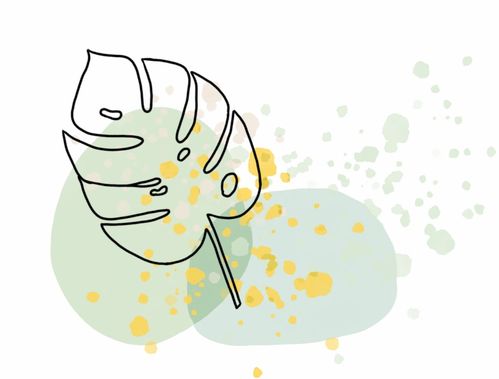 《鸣潮》2.5前瞻直播精华+兑换码大放送，独家揭秘新内容！