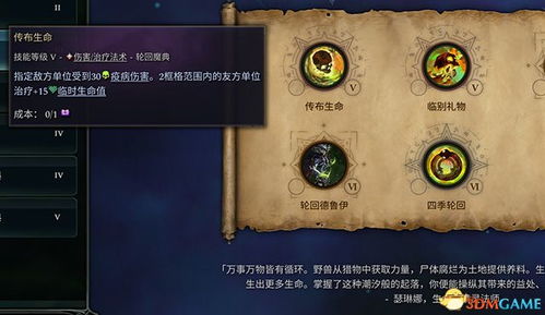 星灵法卡组攻略：深度解析，构筑秘籍大公开