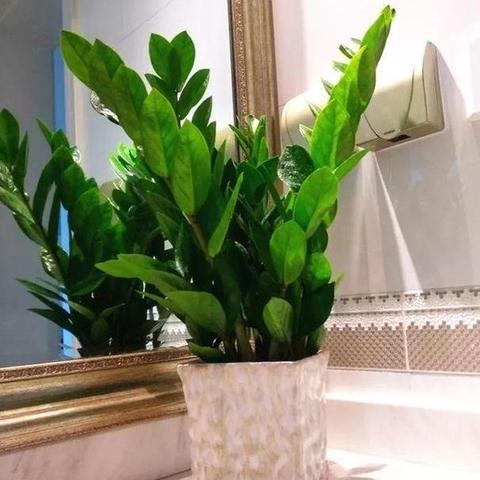 《炉石传说》33.0.3补丁前瞻：洛被削弱，枯萎之影新调整，深度解析新价值