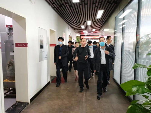 《星痕共鸣》全职业深度解析，新手必看职业推荐指南