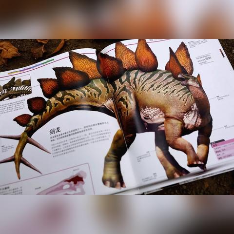 剑龙DK卡组攻略：深度解析剑龙DK构筑新思路