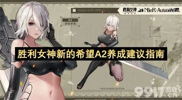 《胜利女神新攻略：A2技能精加点与装备搭配策略解析》