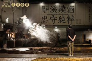 《千子树童福密境探秘攻略，解锁神秘新元素》