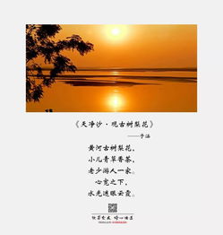 《千子树夜盲之谜：第一章通关攻略揭秘》