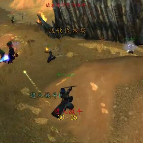 德鲁伊毒拍熊BD攻略：深度解析第九赛季新战术精髓