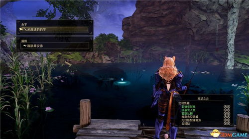 《剑星》钓鱼全鱼种攻略：高效收集秘籍，新手必看！