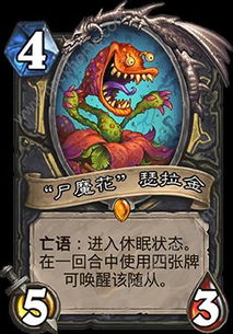 安戈洛龟途卡牌揭秘：炉石传说全职业秘籍大公开