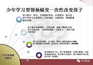 提升《多重人生》有机储量秘籍，解锁生命潜能新境界