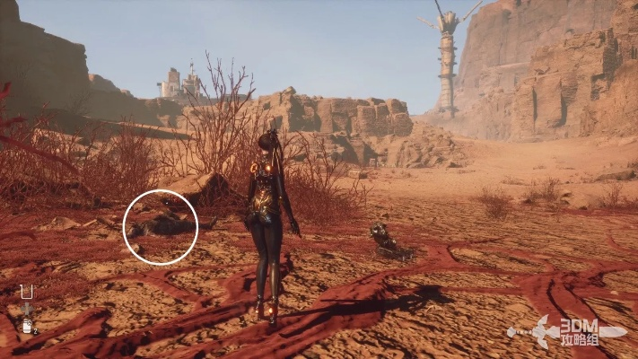 《剑星》维生包全攻略：高效收集秘籍大揭秘