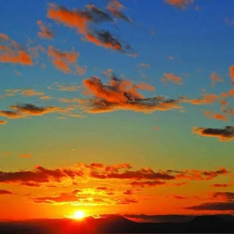 温泉鲷鱼高效获取攻略，轻松掌握新技巧