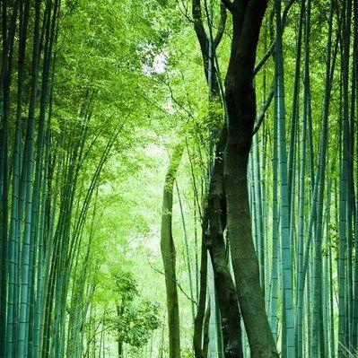 《七重幻境揭秘：探索《最终幻想7》三部曲全新篇章》