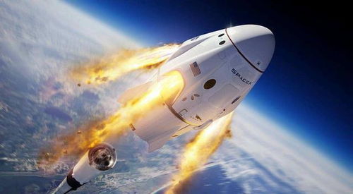 神舟二十一号携鼠鼠升空，开启太空繁衍新篇章