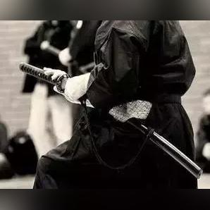 《剑星星刃》全剧情攻略揭秘：解锁星刃奥秘，畅游剑界巅峰