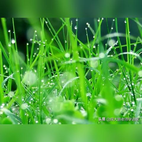 《贪婪大地》V0.9.20新升级！探索未知宝藏，畅享无尽冒险！