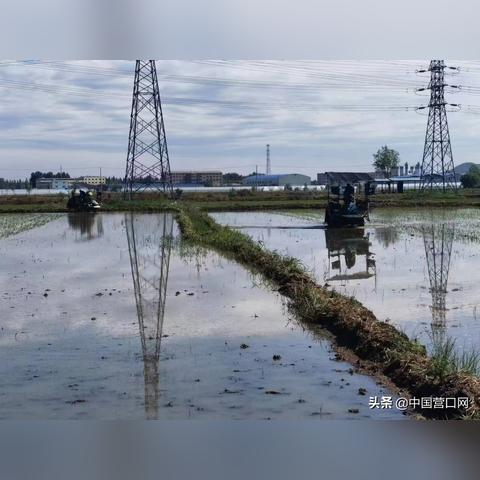 《胜利女神新希望》藏品揭秘：收藏价值与意义一网打尽