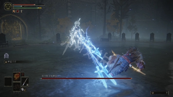 《艾尔登法环》BOSS武器属性弱点深度解析，掌握战斗新优势